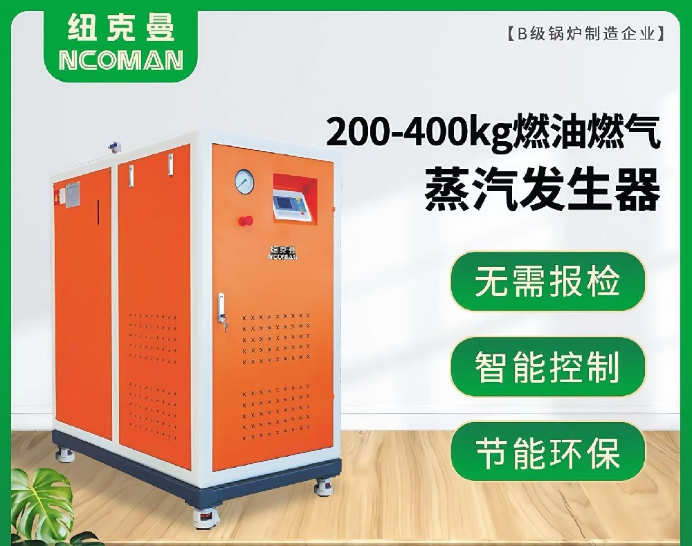 200kg-400kg燃气燃油蒸汽发生器